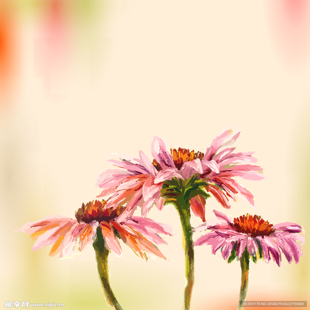 手绘花卉