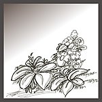 花草