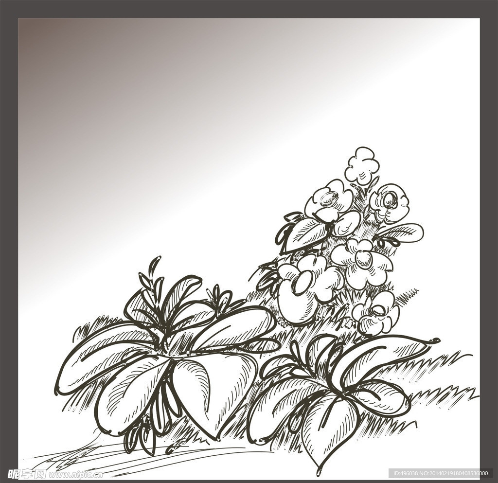 花草