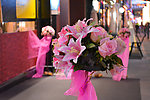 装饰 百合花
