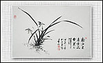 青石国画兰花