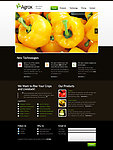 HTML5模板下载
