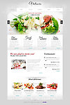 HTML5模板下载