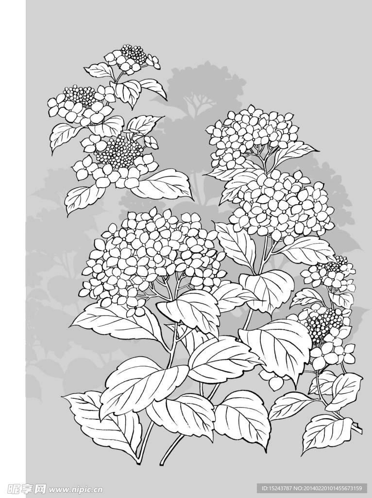 高清日本描线底纹花草