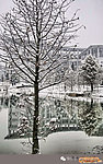 农林大学雪景