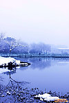 农林大学雪景
