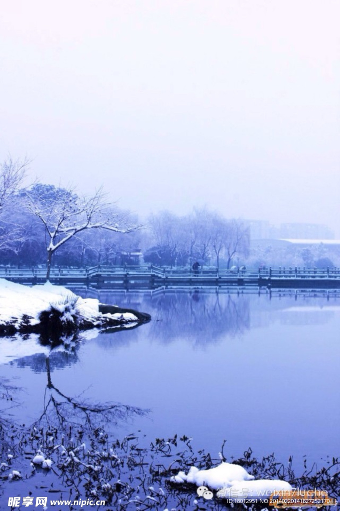 农林大学雪景