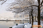 农林大学雪景
