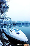 农林大学雪景