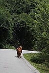 西藏风景
