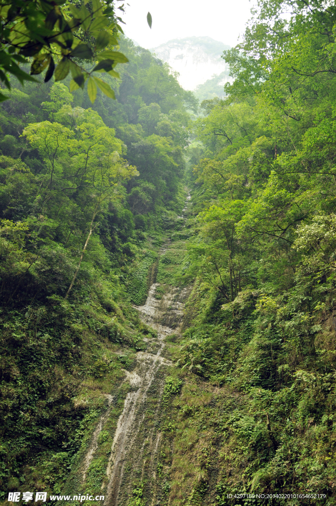 黑山谷