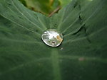 水珠
