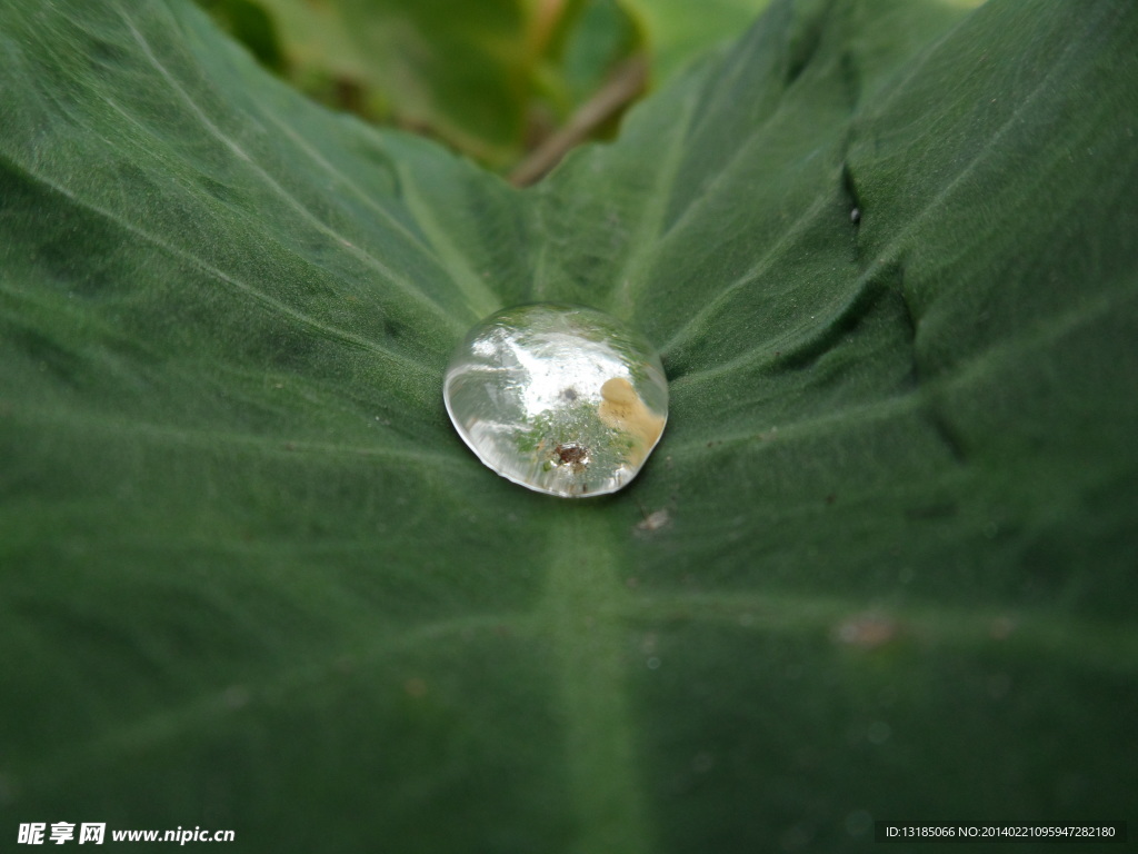 水珠