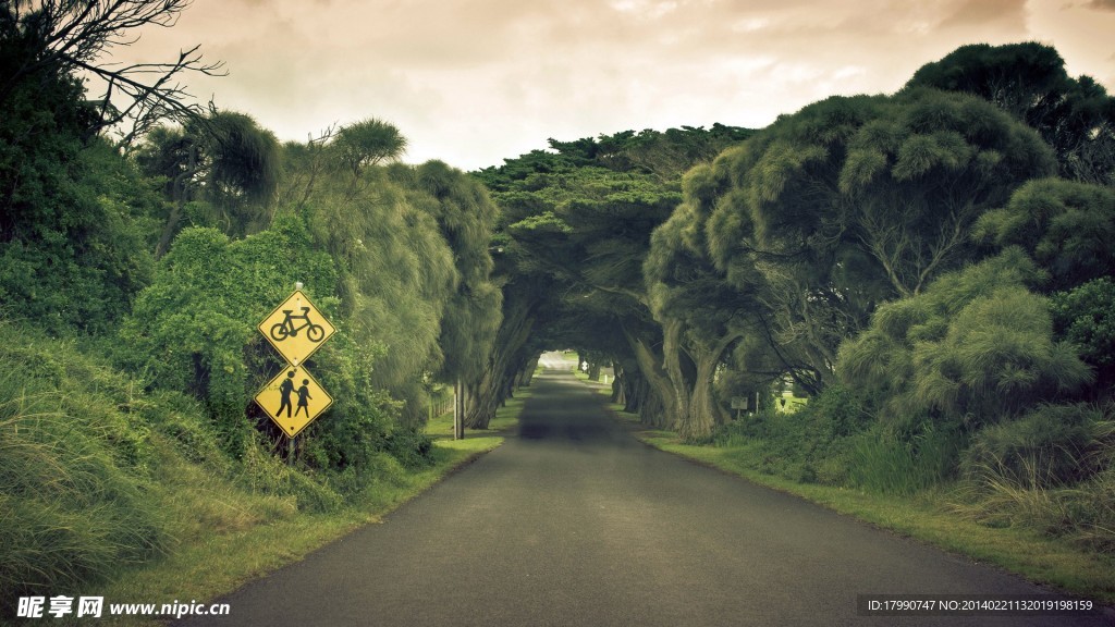 树林通道