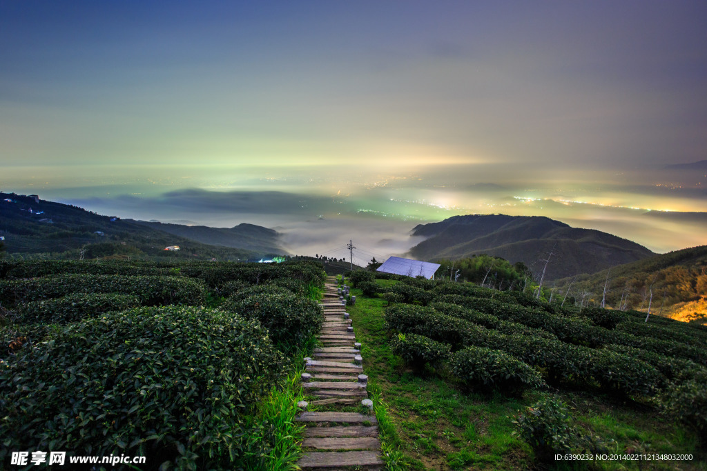 茶山