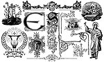 欧美T恤花纹