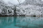 雪景