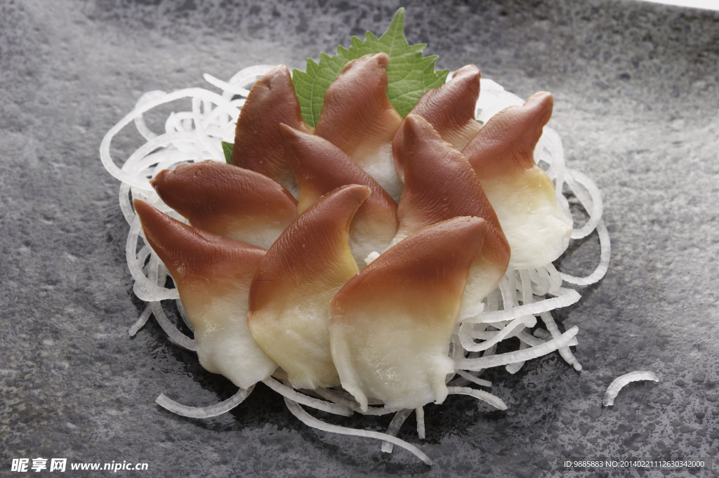 北极贝
