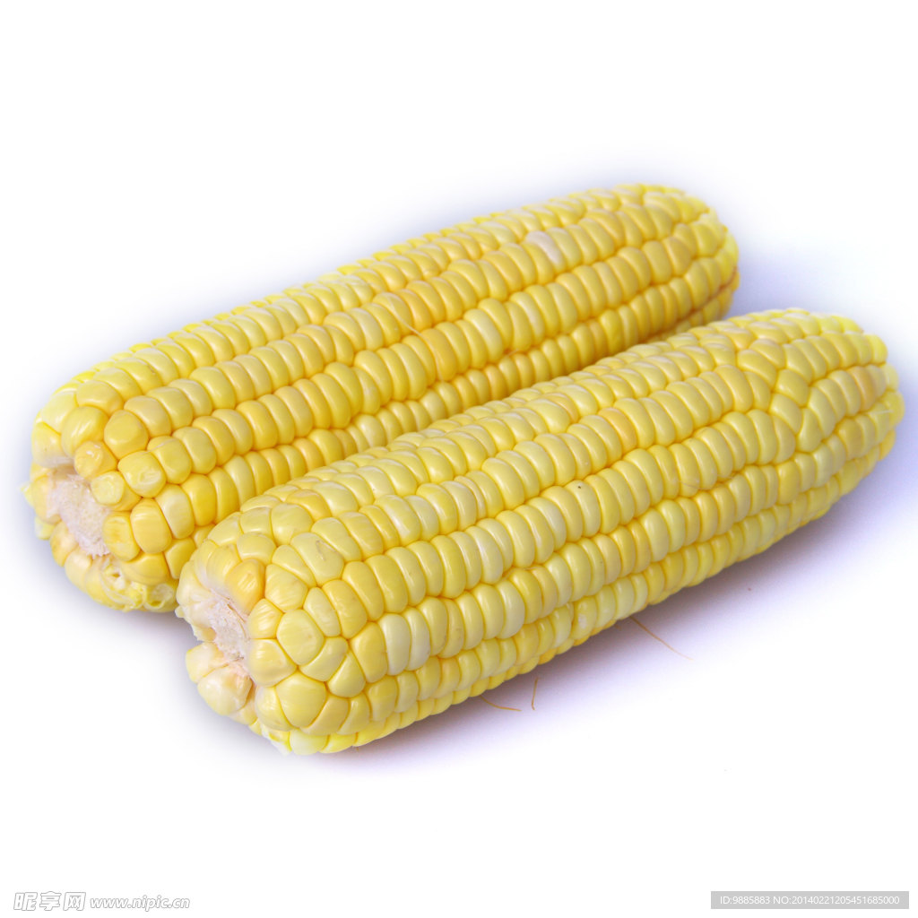 玉米