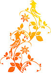 花纹