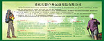 企业招聘 招聘图片