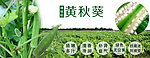 臻味稻黄秋葵