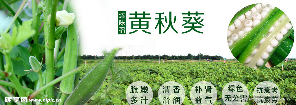 臻味稻黄秋葵