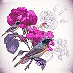 花朵背景