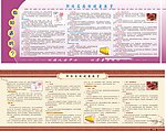 胆结石展板矢量素材