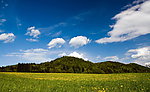 田野风景
