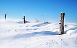 雪景