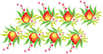 边框