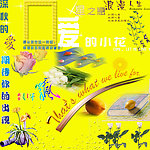 影楼素材