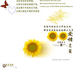影楼素材模板