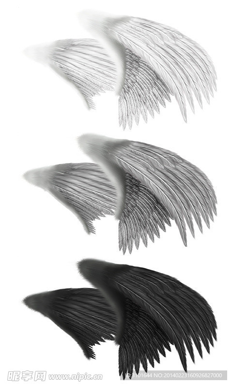 羽毛翼(抠图)