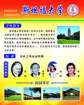 斯坦福大学