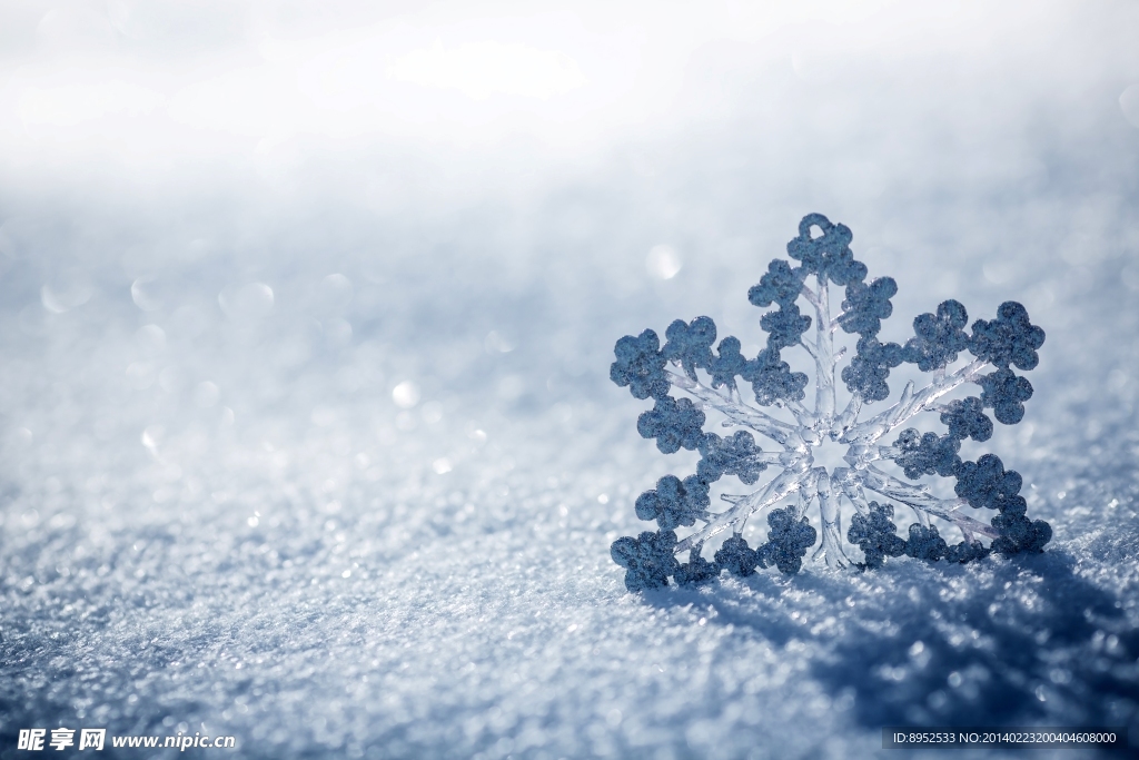 雪花