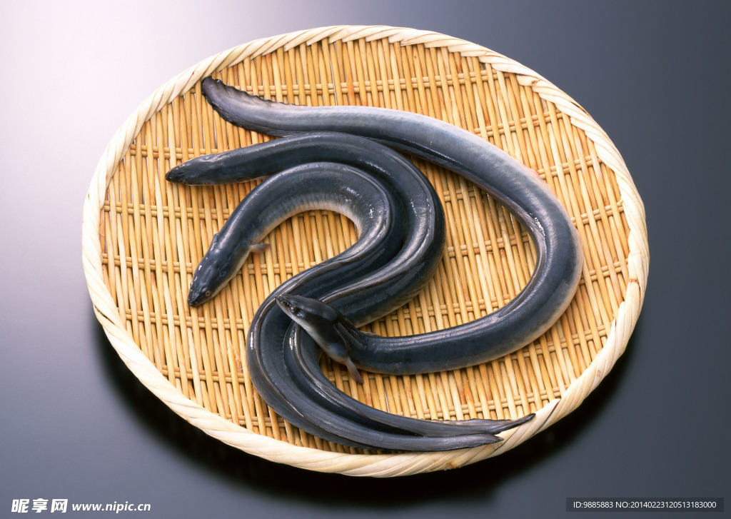 鳝鱼
