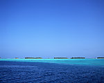 大海