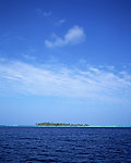 大海