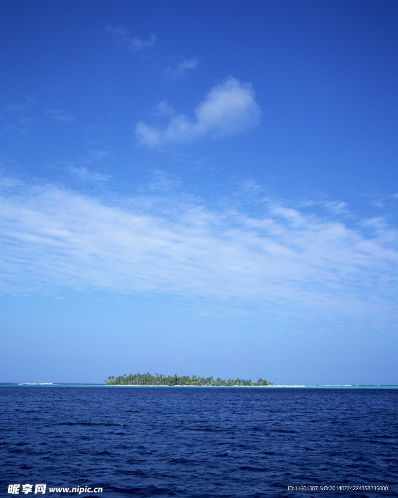 大海
