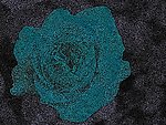 浮雕花纹