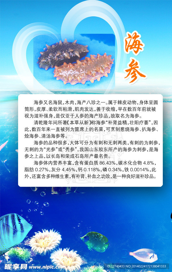 海参 海鲜