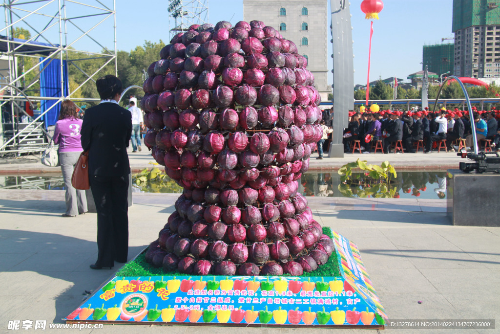 蔬菜节