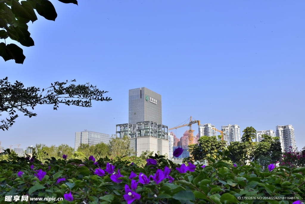 深圳景观