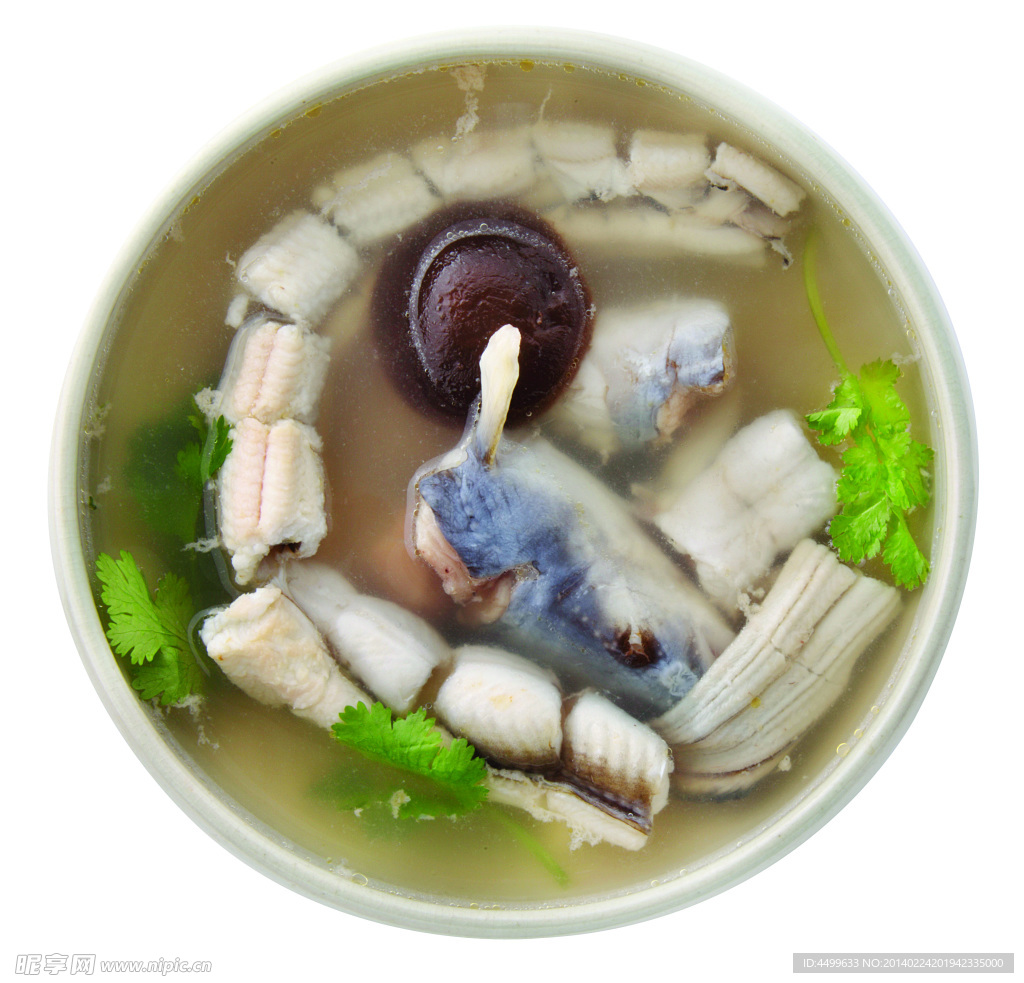 河鳗