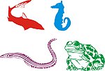 海马 青蛙