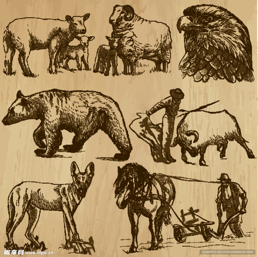 动物手绘设计