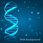 人体DNA