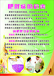 肥胖症的危害